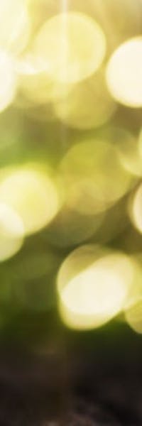 Go Get Green and Get Rewarded!